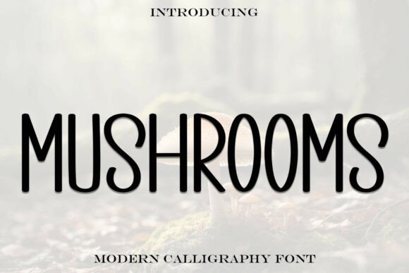 Mushrooms Typeface: A Maker’s Review for Boutique Branding